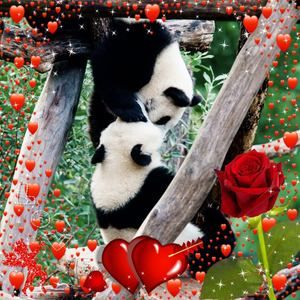 Meet your Posher, Maria de